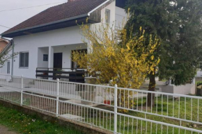 APARTMANI Ricci R 2